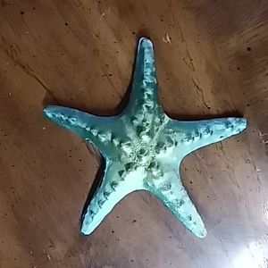 3D printed PLA plastic starfish bank